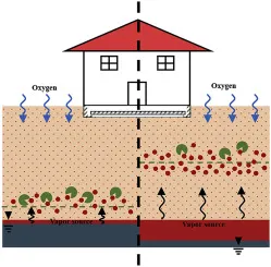 Capillary Fringe Image